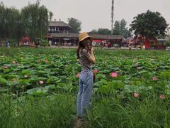 -茯茶镇