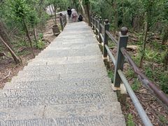 -紫金山山顶公园