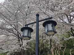 -苏州上方山国家森林公园
