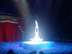 -珠海横琴长隆《卡卡虎奇遇记》