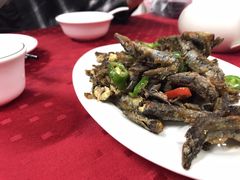 -蛇口康乐快餐鱼仔档(翠苑小区店)