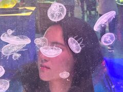 -太奥幻太奇海洋馆