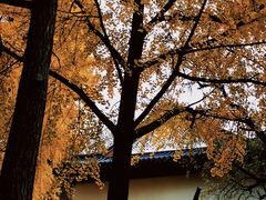 -郑和公园