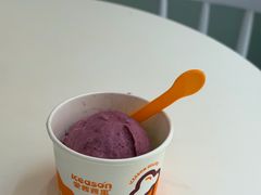 -iceason爱茜茜里·意大利健康冰淇淋(骑龙巷店)
