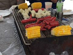 -我家农庄
