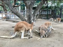 -可伦宾野生动物保护区
