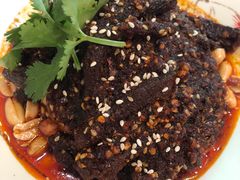 -院8里·小聚园老川菜(九眼桥店)