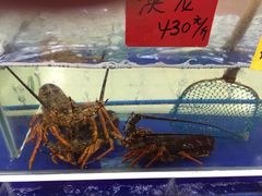 青年公社海鲜城-海鲜城大家餐厅