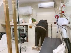 -当汪遇见喵宠物店