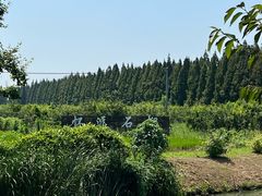 -嘉北郊野公园