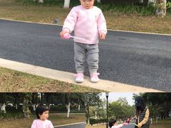 -东莞植物园