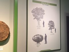 -中国茶叶博物馆(双峰馆区)