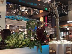 -桂满陇·海市蜃楼·黑金(国金店)