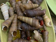 -贞姨美食·老字号海鲜大排档