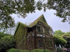 -上海影视乐园
