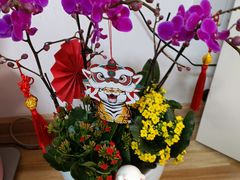 -鸽子窝(万丰路店)