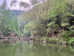 -桂林古东瀑布景区