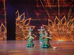 -蒲公英舞蹈艺术中心(解放路校区)