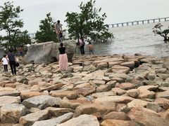 -宝安西湾红树林湿地公园