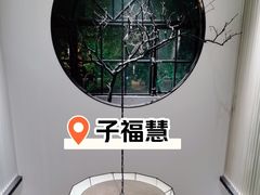 -子福慧(虹桥店)
