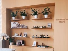 -泉·颂钵冥想·减压·疗愈SPA(前海店)