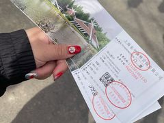 -东平国家森林公园