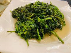 -新聚丰菜馆(太监弄店)