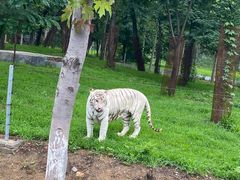 -秦皇岛野生动物园
