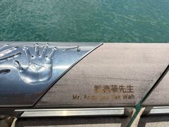 -星光大道