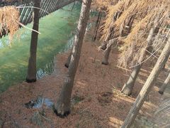 -梅峰山地公园