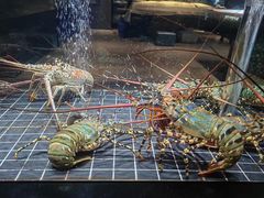 -鑫悦楼煎蟹·16年海鲜大排档