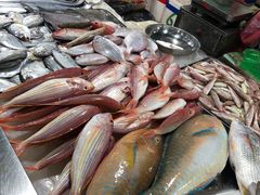 -鸿港海鲜批发市场