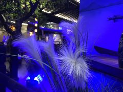-绿茶餐厅(城西银泰城店)