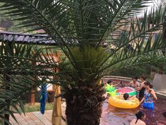 -咸宁万豪温泉谷度假区