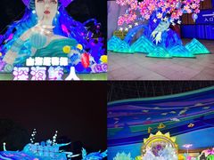 -海合安武汉极地海洋公园