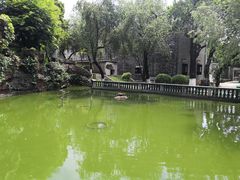 -碧江金楼