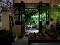 -植觉