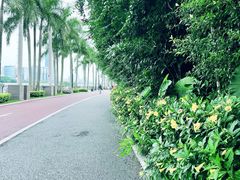 -南宁南湖公园