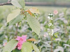 -自在弥林花园餐厅(云栖店)