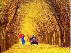 -艾山风景名胜区