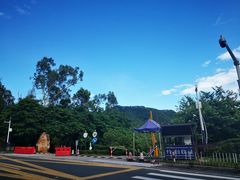 -田心森林公园