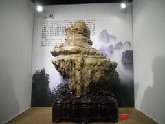 -东南花都花博园