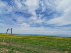 -青海湖国家重点风景名胜区