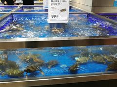 水产区-盒马鲜生(财富中心店)