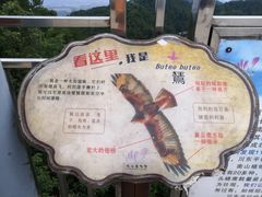 -大金鹰园