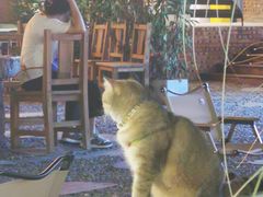 -城里小院露营火锅