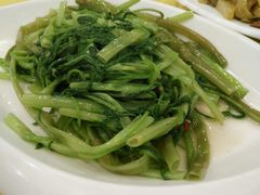 -姚林轩