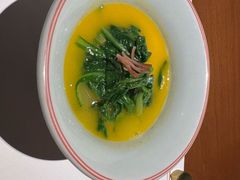 -觀芷隐轩