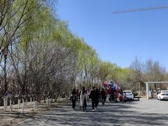 -桃花堤公园