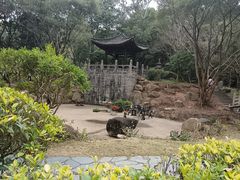 -深圳国际园林花卉博览园